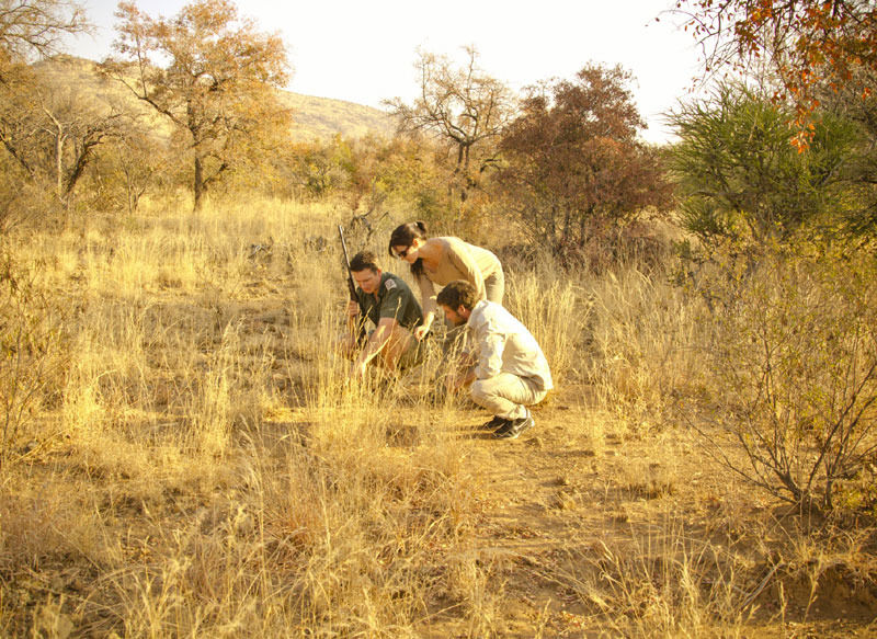 Morokolo Safari Lodge Self-Catering Pilanesberg Dış mekan fotoğraf