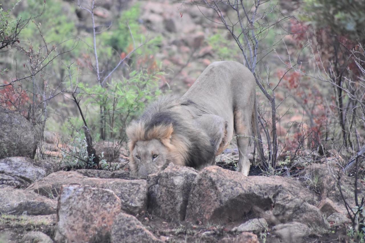 Morokolo Safari Lodge Self-Catering Pilanesberg Dış mekan fotoğraf